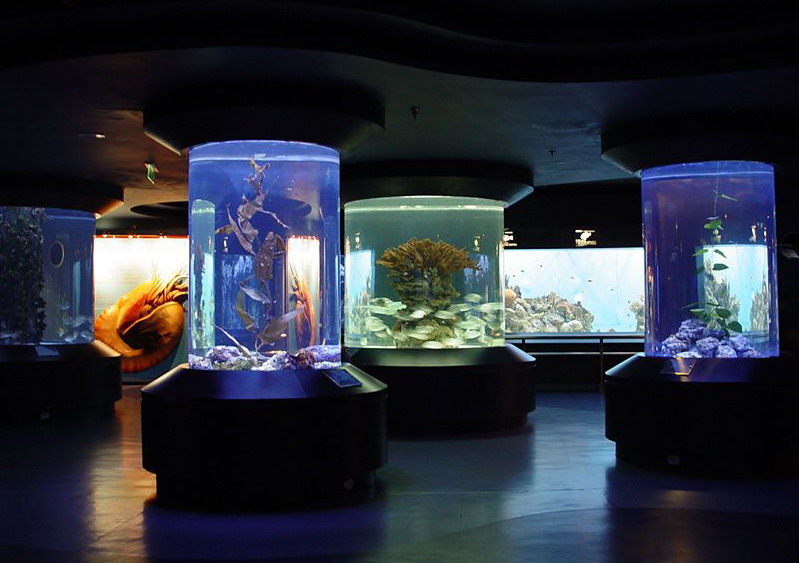Beijing Aquarium9